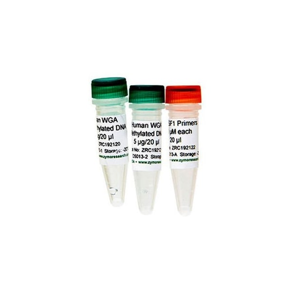 Human Methylated & Non-Methylated (WGA) DNA Set, 5 umg/20 uml